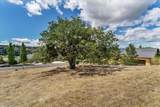 4359 Vista Pointe Drive - Photo 1