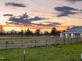 3099 Williams Way - Photo 49