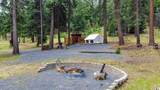 11550 Simpson Canyon Road - Photo 10