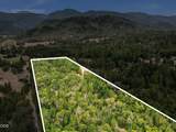  Evans Creek Road - Photo 11