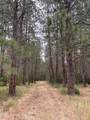  Evans Creek Road - Photo 19