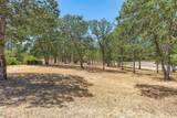 371 Castle Creek Road - Photo 12