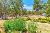 371 Castle Creek Road - Photo 16