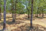 371 Castle Creek Road - Photo 60
