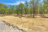 371 Castle Creek Road - Photo 61