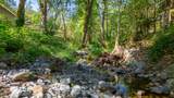 2750 Granite Hill Road - Photo 5