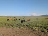 15655 Langell Valley Road - Photo 47