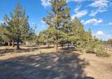  Sparrow Drive - Photo 7