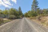 644 Pine Cone Drive - Photo 12