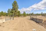 644 Pine Cone Drive - Photo 13