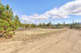 644 Pine Cone Drive - Photo 14