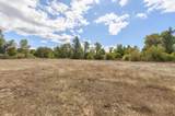 644 Pine Cone Drive - Photo 16
