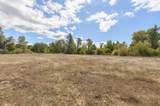 644 Pine Cone Drive - Photo 21