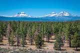 67183 Harrington Loop Road - Photo 45