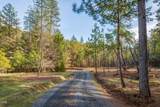 1230 Jones Creek Road - Photo 6