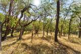 1238 Jones Creek Road - Photo 20