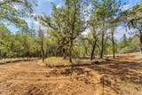 1238 Jones Creek Road - Photo 9