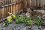 63348 Lamoine Lane - Photo 38