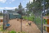 23720 Starshine Lane - Photo 32