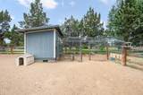 23720 Starshine Lane - Photo 33