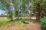 23720 Starshine Lane - Photo 47