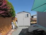 8401 Old Stage Road - Photo 14