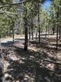 123415 Surveyor Road - Photo 54
