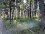 0 Highway 62 - Photo 4