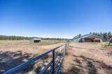 60266 Tekampe Road - Photo 39