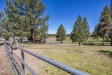 60266 Tekampe Road - Photo 43