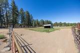 60266 Tekampe Road - Photo 44