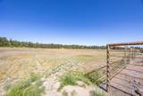 60266 Tekampe Road - Photo 46