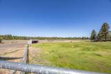 60266 Tekampe Road - Photo 49