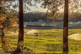 60266 Tekampe Road - Photo 55