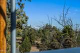 4900 Homestead Way - Photo 23