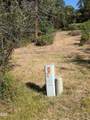 0 Dunlin Lane - Photo 5