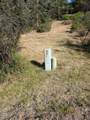 0 Dunlin Lane - Photo 6
