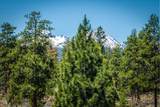 18705 Tumalo Reservoir Road - Photo 30