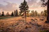 18705 Tumalo Reservoir Road - Photo 5
