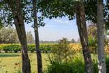 65880 93rd Street - Photo 47
