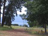  Elkwood Circle - Photo 1