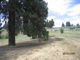  Elkwood Circle - Photo 12