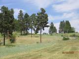  Elkwood Circle - Photo 8