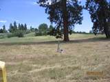  Elkwood Circle - Photo 9