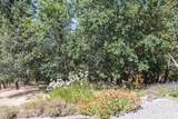 712 Colleen Court - Photo 47