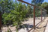 712 Colleen Court - Photo 51
