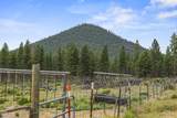 48850 Sycan Road - Photo 49