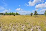 56575 Nest Pine Drive - Photo 20