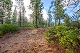 70410 Mcallister Road - Photo 17