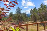 10126 Cinnamon Teal Drive - Photo 14